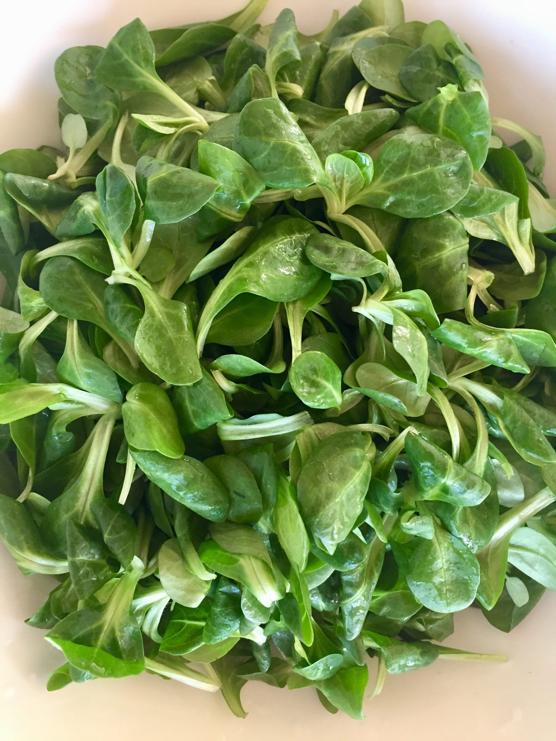 Feldsalat - ein gesunder salat mit vielen Namen - FOOD-STEP